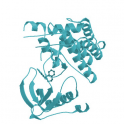 Recombinant human neurotrophic receptor tyrosine kinase 2, TRK-B protein kinase, 10 µg