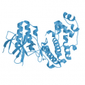 Recombinant human biotinylated MAP kinase 14 / p38 alpha, unactive, 5 µg