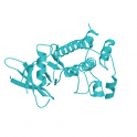 Recombinant human serine/threonine protein kinase PIM2, 10 µg