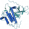 Recombinant human EGFR /ErbB1 Protein, His Tag, 100µg