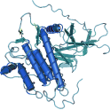 Recombinant human EGFR /ErbB1 Protein, Fc Tag, 100µg