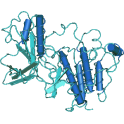 Recombinant, human HGFR / c-MET, protein kinase domain, 10 µg