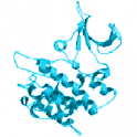Recombinant human Misshapen-like kinase 1 (MINK1), protein kinase domain, 10 µg