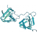 Recombinant human serine/threonine-protein kinase PAK 7, 10 µg