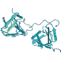 Recombinant human serine/threonine-protein kinase PAK3, 10 µg