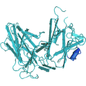 Recombinant human EPHB4, protein kinase domain,10 µg