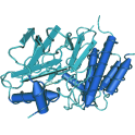 Recombinant human Muscle, skeletal receptor tyrosine-protein kinase (MUSK), protein kinase domain, 10 µg