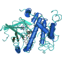 Recombinant human mitogen-activated protein kinase kinase 1 (MEK1), 10 µg