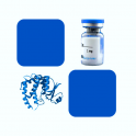 Recombinant Human Cathepsin B /CTSB Protein, His Tag, 50µg