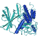 Recombinant human Casein kinase 2 / CK2 alpha1 subunit, 10 µg