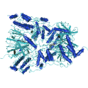 Recombinant human Casein Kinase 2 / CK2, holo enzyme complex (alpha1, beta), 10 µg