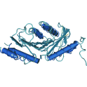Recombinant human mitogen-activated protein kinase kinase 6 (MKK6), active, 20 µg