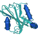Recombinant human PI3 kinase alpha (p110alpha/p85alpha), 10 µg