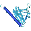 Recombinant human Akt1 / PKB alpha (aa106-480), active protein kinase domain, 10 µg