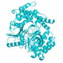 Recombinant human Mitogen-activated protein kinase kinase kinase 1 (MAP3K1), 10 µg
