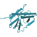 Recombinant Vascular endothelial growth factor receptor 3 (VEGF-R3), protein kinase domain, 10 µg