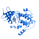 Recombinant human ribosomal protein S6 kinase beta-1 (S6K), 10 µg