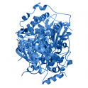 Recombinant human Rho-associated protein kinase 2 (ROCK2), 10 µg