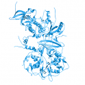 Recombinant, human 5' AMP-activated protein kinase α1/β1/γ1 active kinase, 20 µg
