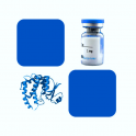 Recombinant MERS Nucleocapsid protein, His Tag, 100µg