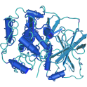 Recombinant human cAMP-dependent protein kinase: PKA, holo type I alpha, 25 µg