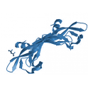 Recombinant Human Nectin-3 / CD113 Protein, His Tag (MALS verified), 100 µg