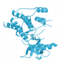 Recombinant Cynomolgus PVRIG Protein, Mouse IgG2a Fc Tag (MALS verified), 100 µg
