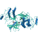 Recombinant, human RAF (B-RAF) protein kinase domain, 10 µg