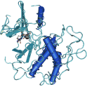 Recombinant human CDK2/CycA2, active protein kinase,10 µg