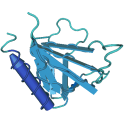 Recombinant human Protein kinase C (PKC) beta 1, 10 µg