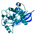 Recombinant human protein kinase C (PKC) theta, 10 µg