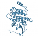 Recombinant human tyrosine-protein kinase Lck, 10 µg