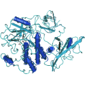 Recombinant human protein kinase Yes, 10 µg