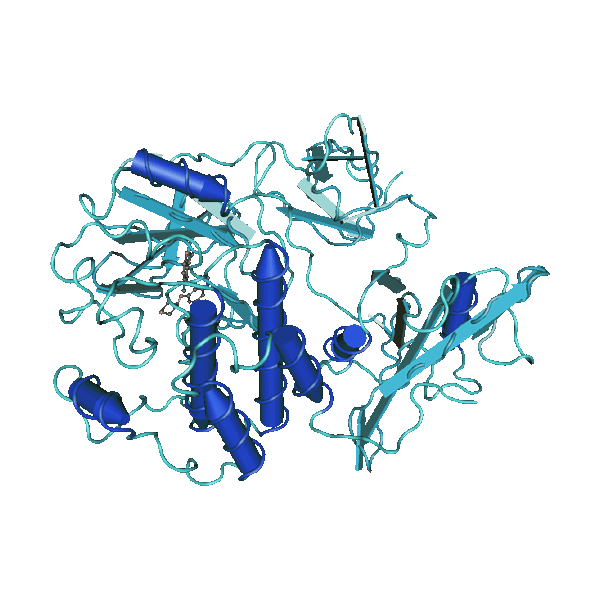 human protein kinase Yes, 10 µg