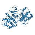 Recombinant human CDK5/p25NCK, active protein kinase,10µg