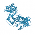 Recombinant human CDK9/CycT, active protein kinase,10 µg
