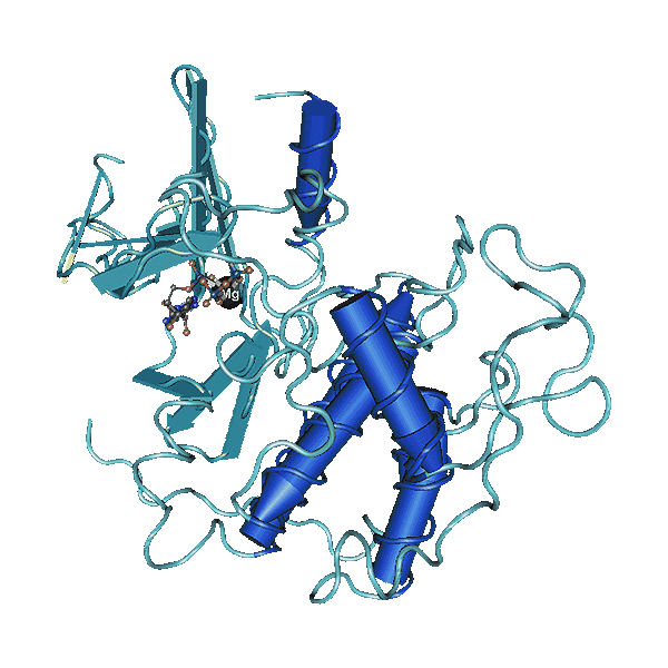 human protein kinase CDK2/CycE