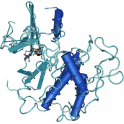 Recombinant human CDK4/CycD3, active protein kinase,10 µg