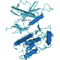 Recombinant human DAPK1, protein kinase domain, 10 µg