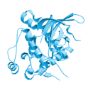 Recombinant human ACK1, protein kinase domain, 10 µg
