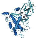 Recombinant human checkpoint homologue kinase (CHK2), active protein kinase, 20 µg