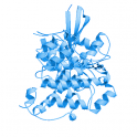 Recombinant human CDC42 binding protein kinase beta / CDC42BPB , 10 µg