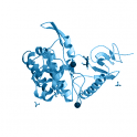 Recombinant, human CDC-like kinase 3 / CLK3 protein kinase, 10 µg