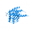 Recombinant, human CSF1R protein, kinase domain, 10 µg