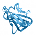 Recombinant human Discoidin domain-containing receptor 2 (DDR2), protein kinase domain,10 µg