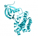 Recombinant human testis-specific protein kinase 2 (TSK2), 10 µg