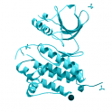 Recombinant human Ephrin type-A receptor 5 (EPHA5), protein kinase domain, 10 µg