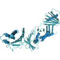 Recombinant, human serine/threonine-protein kinase PLK1, 10 µg