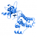 Recombinant human Ephrin type-A receptor 7 (EPHA7), protein kinase domain,10 µg