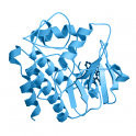 Recombinant, human protein tyrosine kinase Fyn, GST-HIS6 Tag, 10 µg
